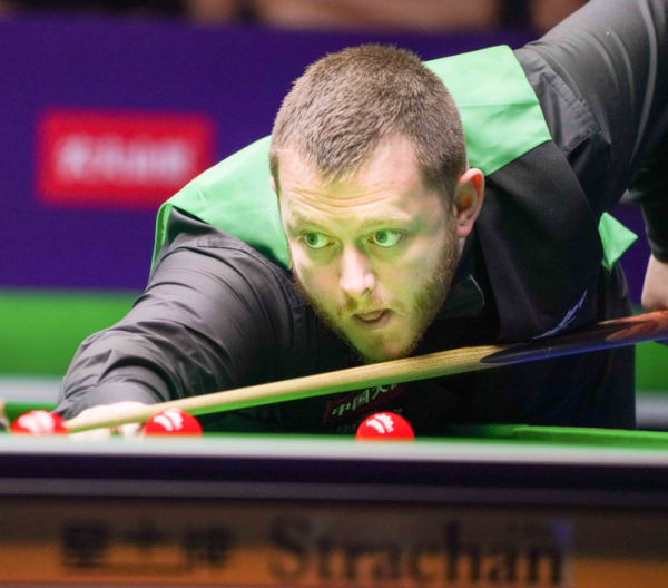 范德贝克在 范德贝克在